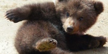 Старый добрый стих