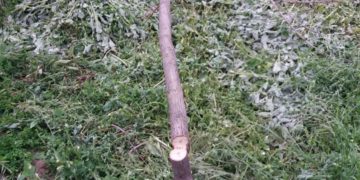 Экоцид и Геноцид общины Запорожья