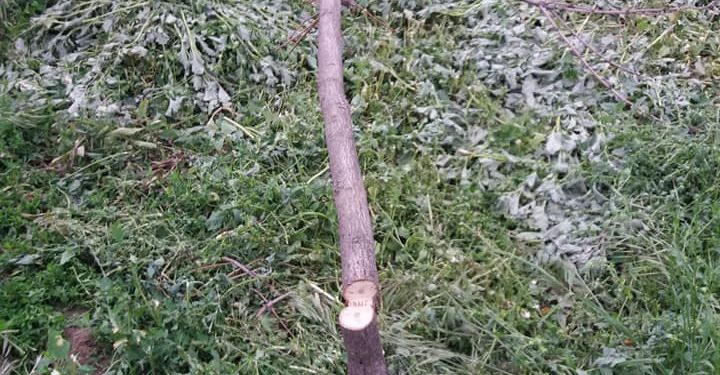 Экоцид и Геноцид общины Запорожья