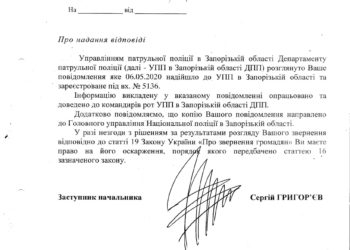 Патрульная о первичном субъекте местного самоуправления