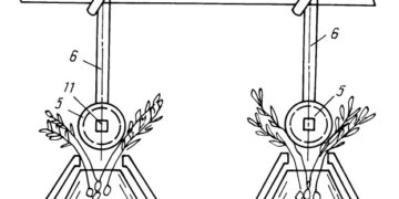 Сбор колорадского жука в Ровно!