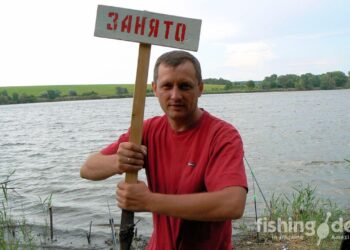 На платных ставках можно рыбачить бесплатно!