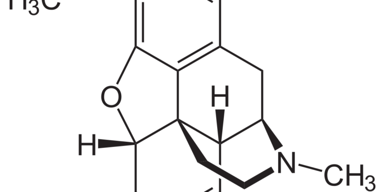 ЛЕТАЛЬНЫЙ ИСХОД ОТ КОДЕИНА