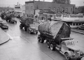 Просто бревна