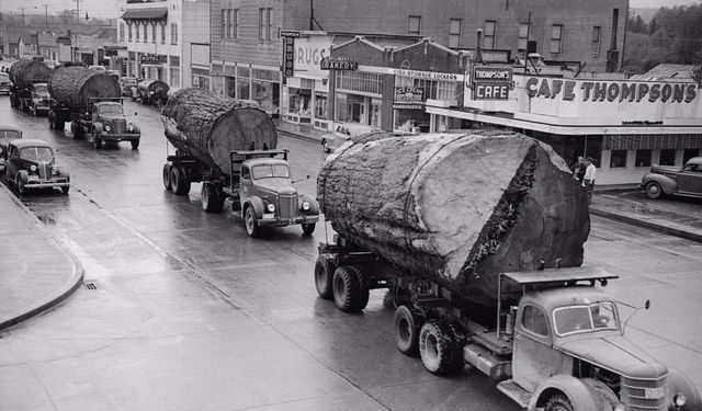 Просто бревна