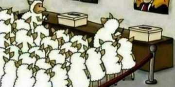 Некоторые вопросы документирования управленческой деятельности