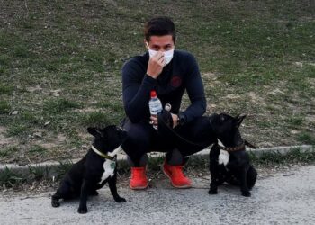 Собаки без намордника