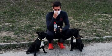 Собаки без намордника