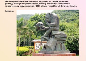 Памятник шимпанзе, сидящего на трудах Дарвина