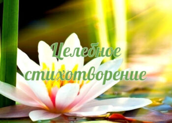 ЦЕЛЕБНЫЕ СТИХИ