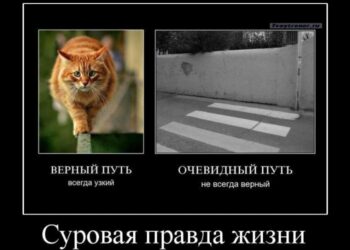 Суровая правда жизни