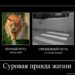 Суровая правда жизни