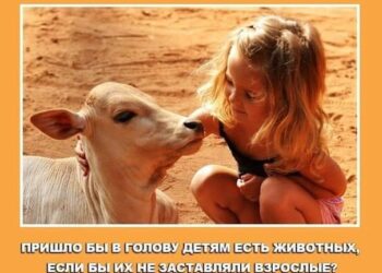 Пока мы будем убивать животных — мы будем убивать друг друга ! Пифагор