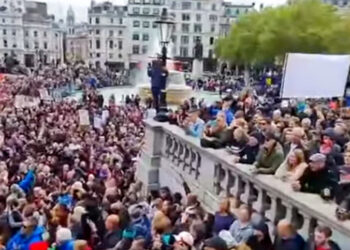 Засунь свою корпорацию себе в задницу