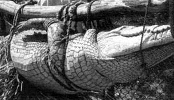 Немецкая народная притча