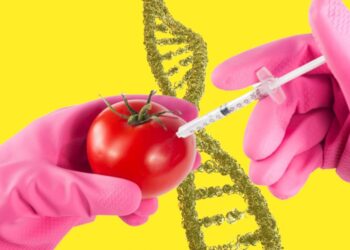 Собственник панента ГМО-вакцины!!!