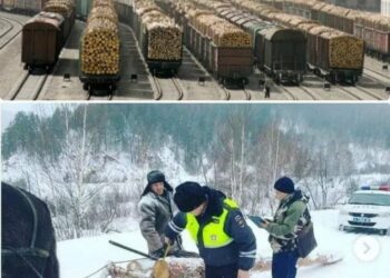 Суть работы корпораций «УКРАИНА», «РФ» и т.д.