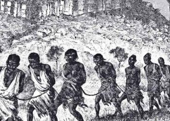 Банановая Республика