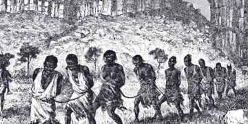 Банановая Республика