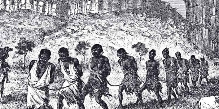 Банановая Республика