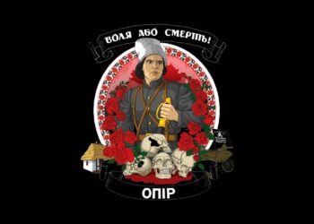 Первое общинное задержание «судьи» в Хмельницком.