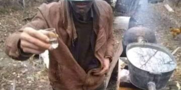 Финал «эволюции» демократии