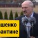Лукашенко: В спину толкают — давайте карантин!