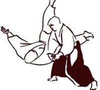 Правовое айкидо?