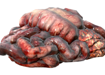 МЯСО — ЕСТЬ ИЛИ НЕ ЕСТЬ?