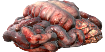 МЯСО — ЕСТЬ ИЛИ НЕ ЕСТЬ?