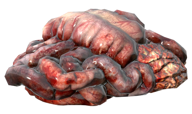 МЯСО — ЕСТЬ ИЛИ НЕ ЕСТЬ?