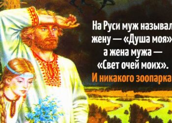 И никакого зоопарка!