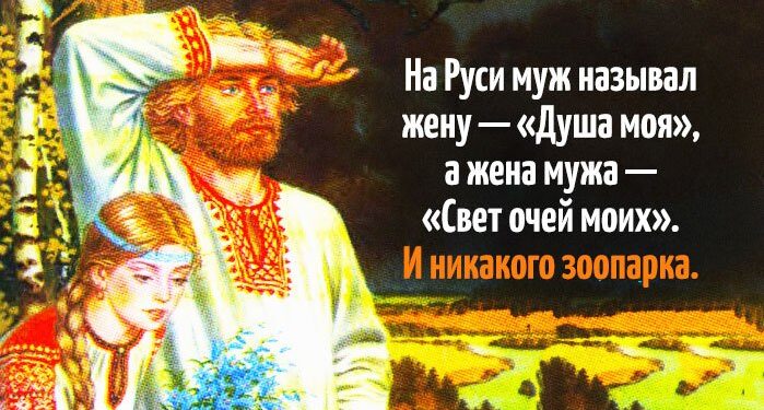 И никакого зоопарка!