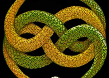 Змея укусила себя за хвост?