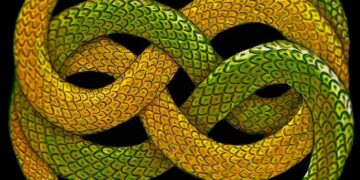 Змея укусила себя за хвост?