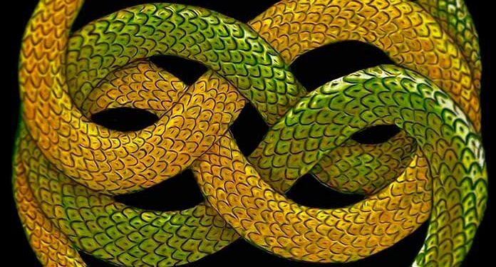 Змея укусила себя за хвост?