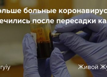 Альтернатива факцинации