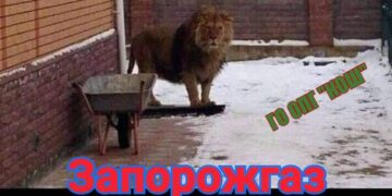Запорожгаз выгребает от общины