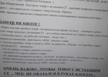 Инструкция в ТЦ для общения с блогером