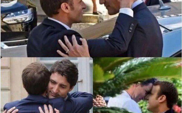 Мы идем в …опу?