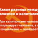 Какая разница между социализмом и капитализмом?