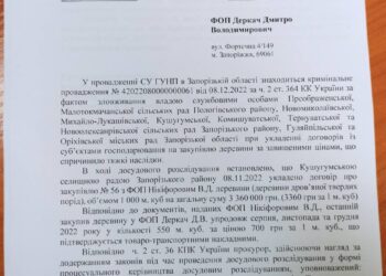 Цена на запорожские дрова завышена в 4 раза