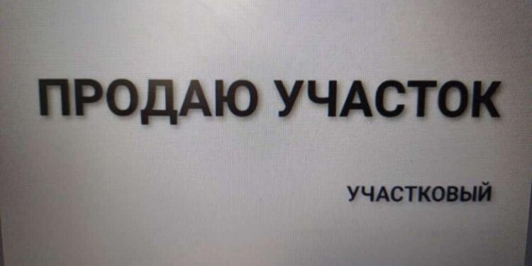 Прислано от реального начальника